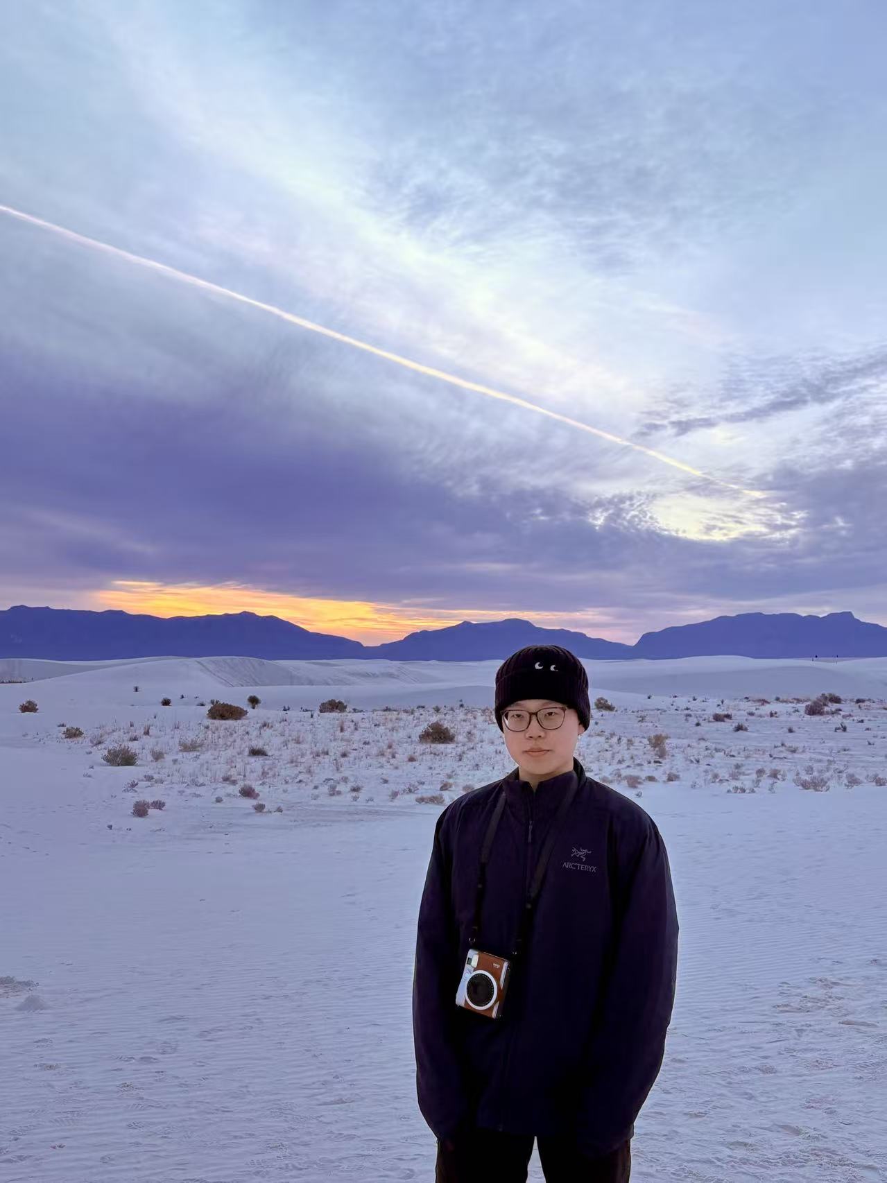 Portrait of King Zhou